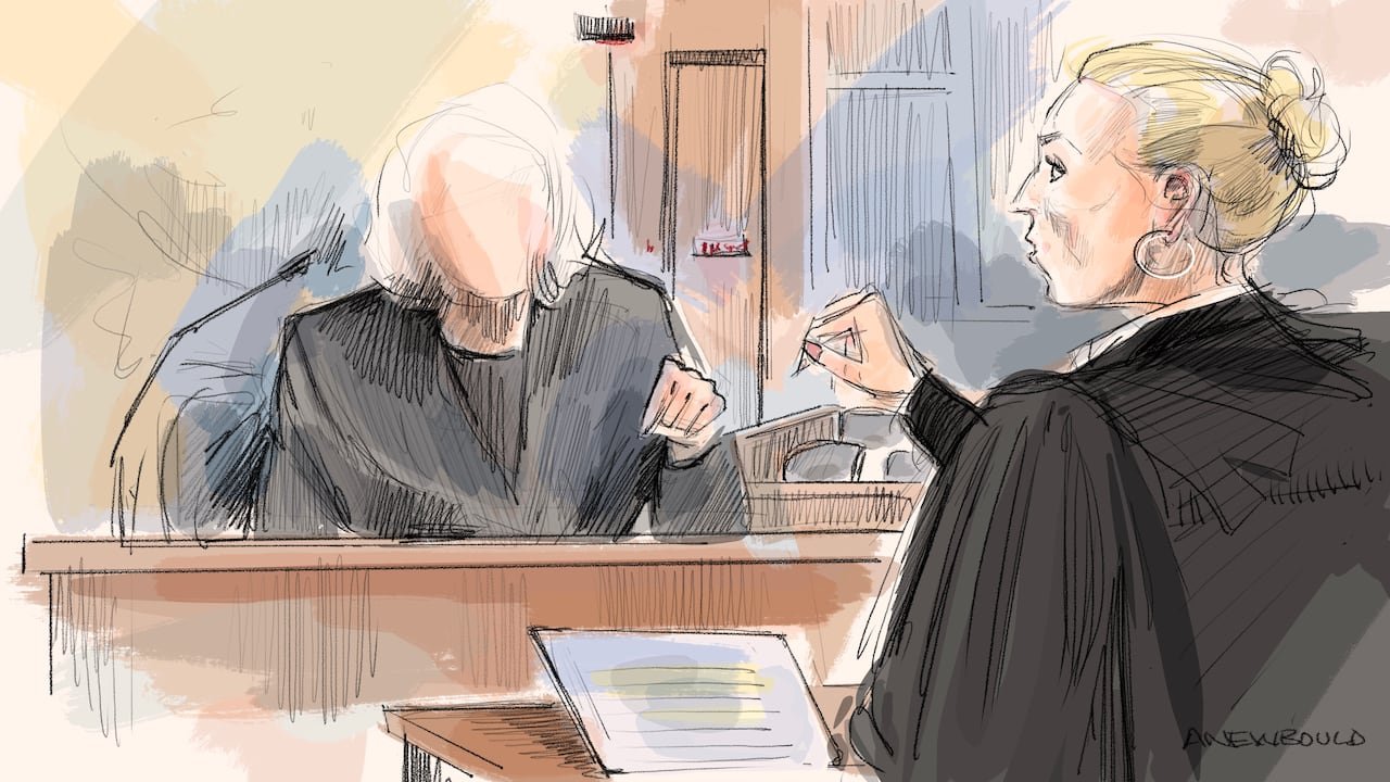 stronach's lawyer cross-examining a witness in court