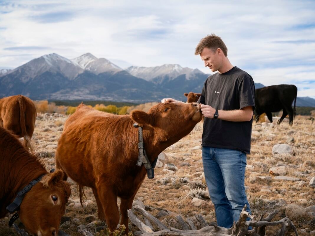 How Peter Thiel’s Daring Bet on Solar-Powered Cow Collars Could Change Farming Forever