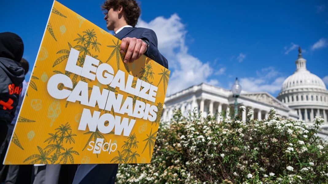 How Trump’s psychedelics executive order could unlock stalled cannabis reform