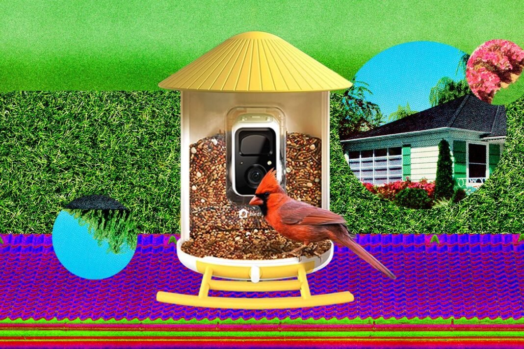 The Smart Bird Feeders Everyone’s Talking About (and Actually Buying) (2026)