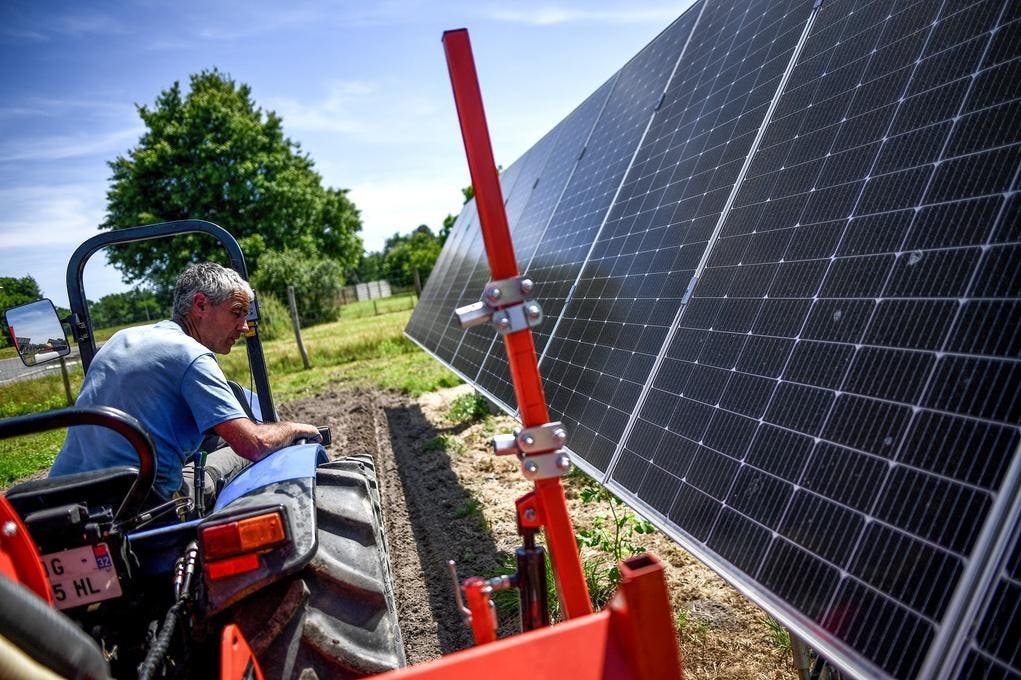 Farmer working crops beneath solar tracking agrivoltaic panels.