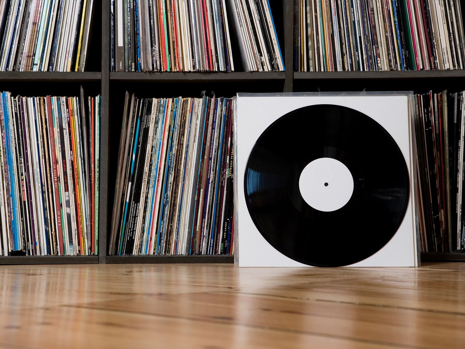 Vinyl records stored upright in protective sleeves on shelves