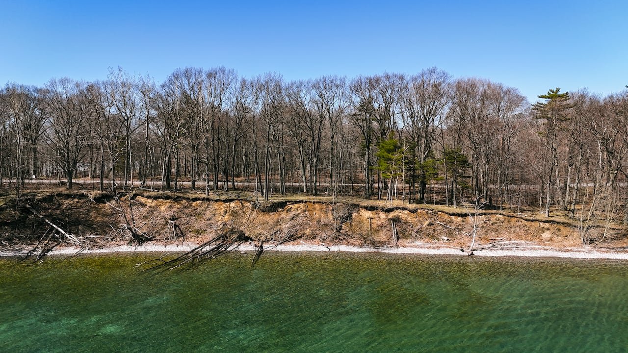 Eroded sandy shoreline with fallen trees leaning toward water under cloudy skies.