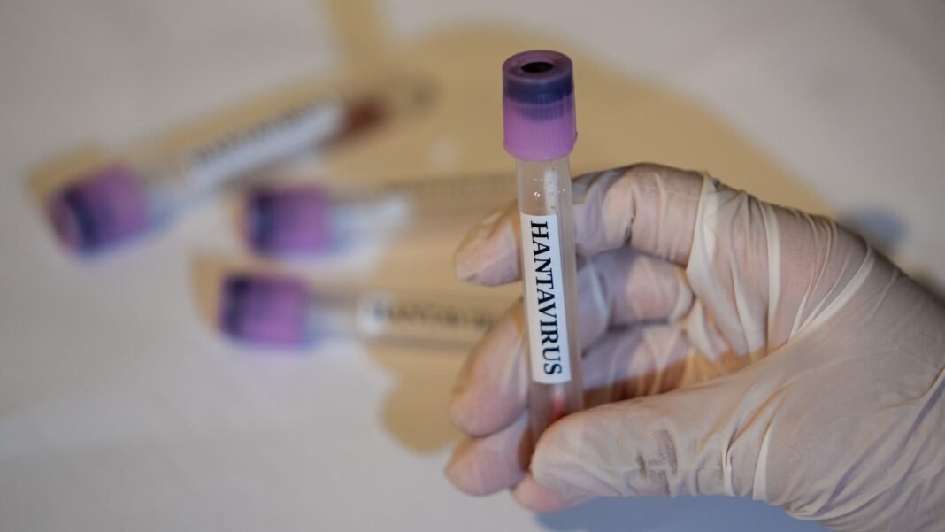 CDC Confirms No Current U.S. Hantavirus Cases, While 41 Individuals Remain Under Close Watch