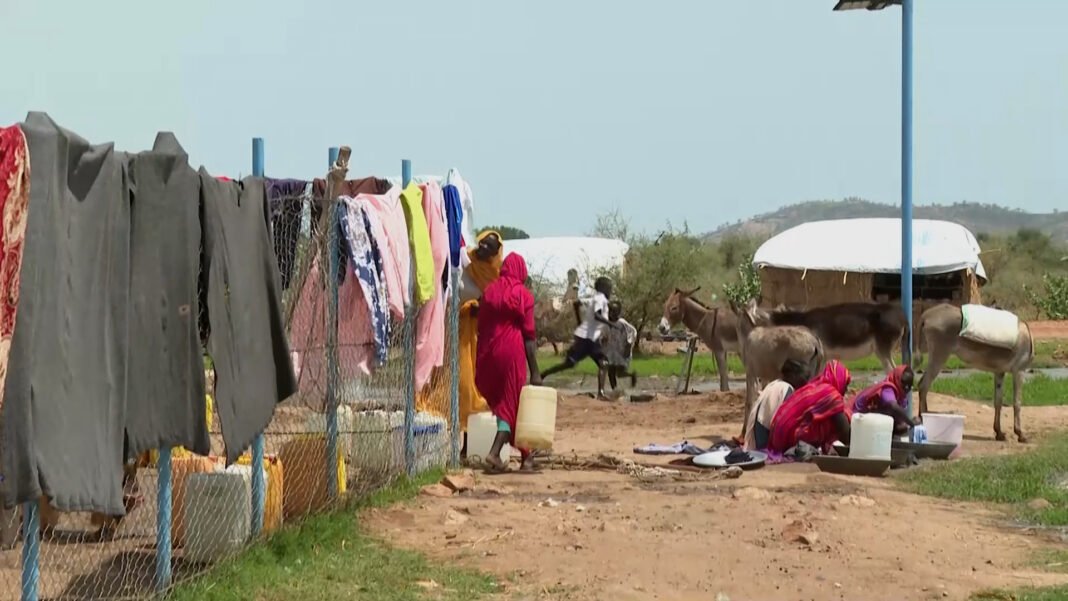 Sudanese Army’s Advance in Blue Nile State Triggers Escalating Displacement Crisis