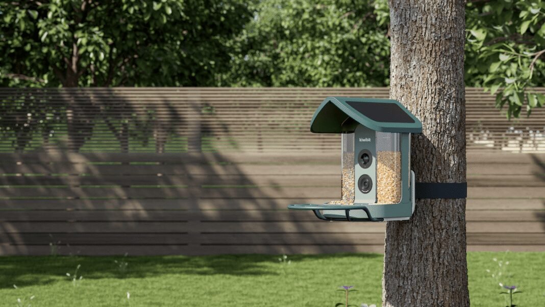 Discover Kiwibit: The Smart AI Bird Feeder That’s Transformed My Backyard into a Feathered Paradise!