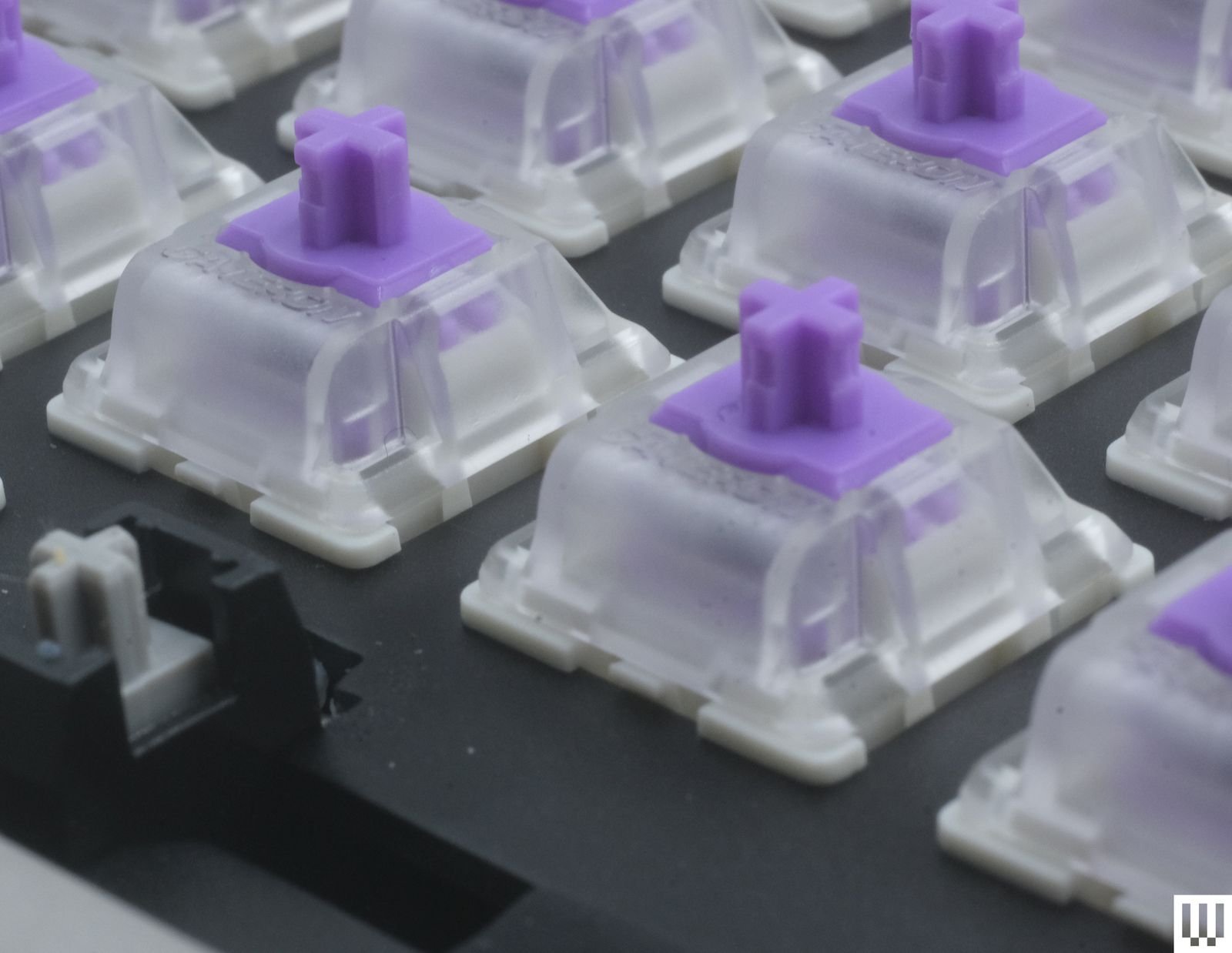 Detailed view of plastic switch housings beneath keycaps highlighting build quality