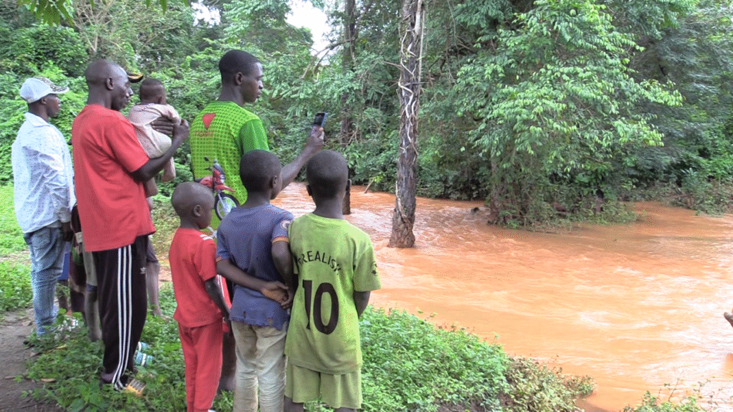 Who Really Benefits from Guinea’s Bauxite Wealth? Unveiling the Truth Behind the Land That Once Sustained Us