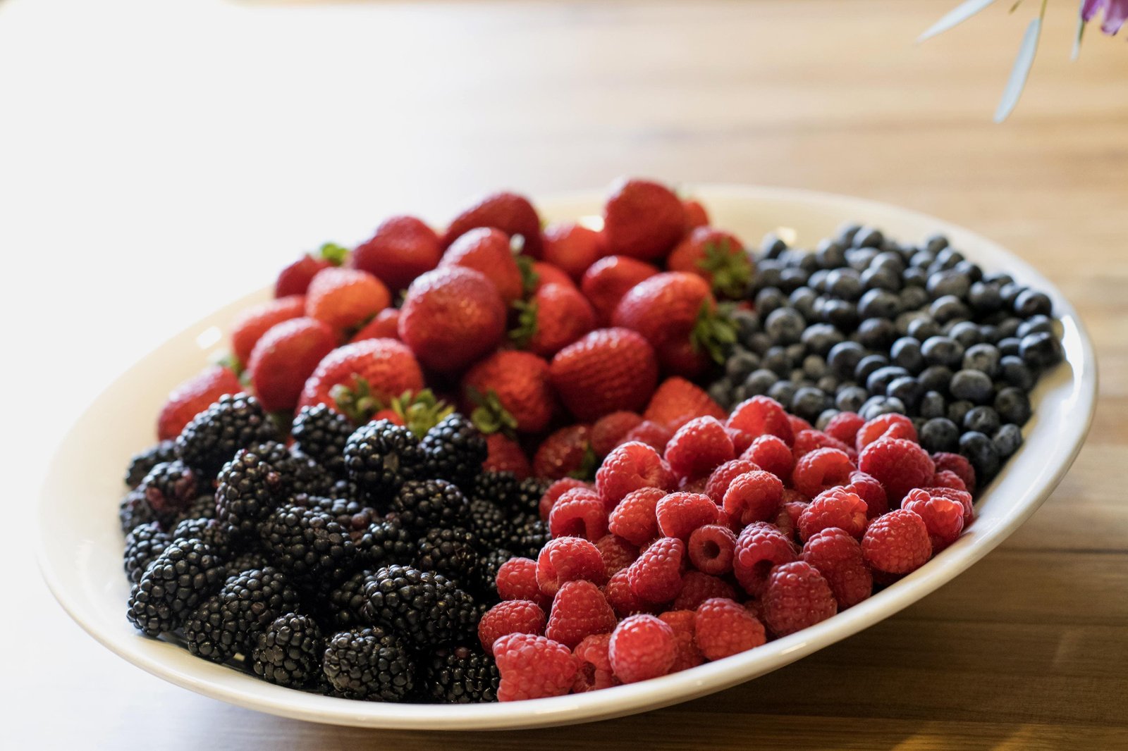 Inside The Modern Facility Where Future Berries Are Cultivated With Specialized Care