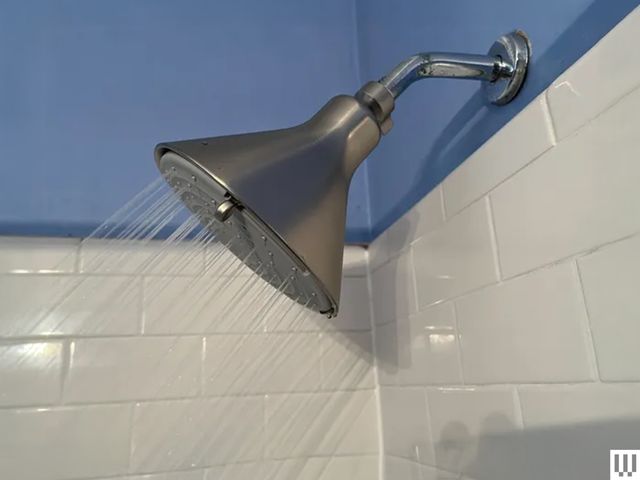 canopy Filtered Showerhead installed in bathroom