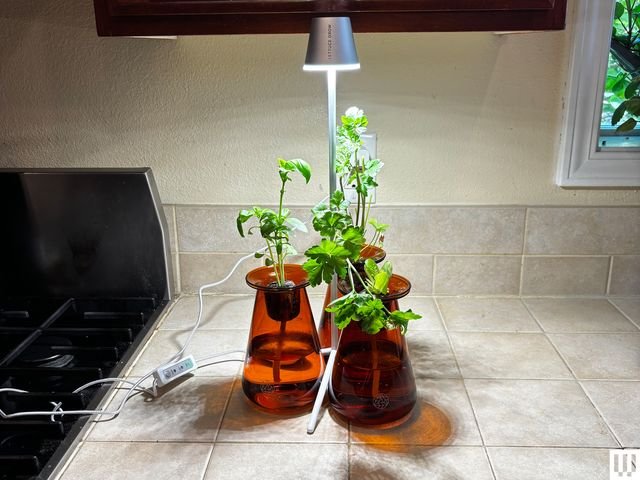 Lettuce Grow Counterstand Set featuring hydroponic vessels