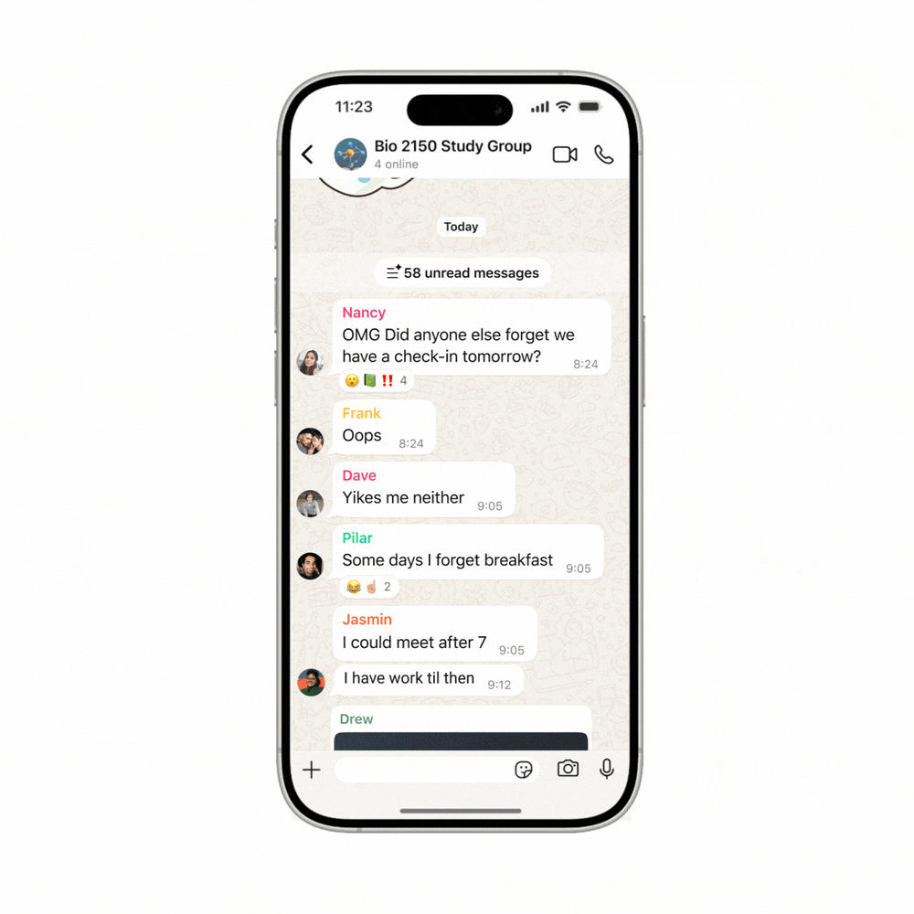 WhatsApp Message Summaries Feature