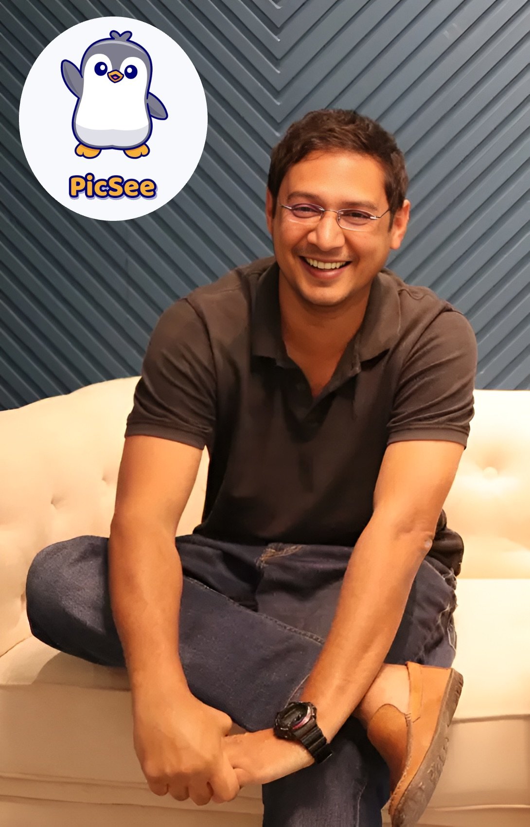 PicSee app interface