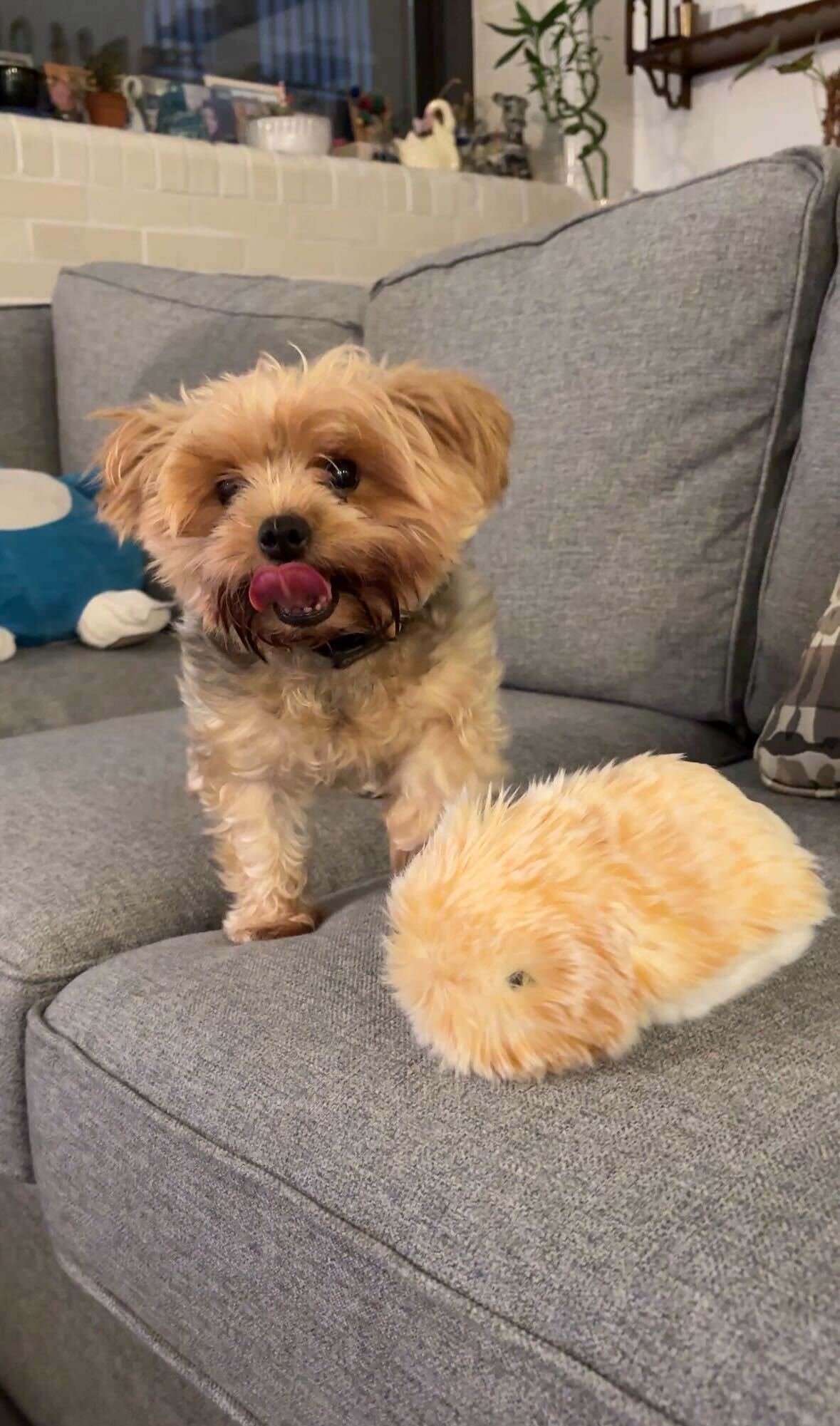 Moffin robot pet resting peacefully