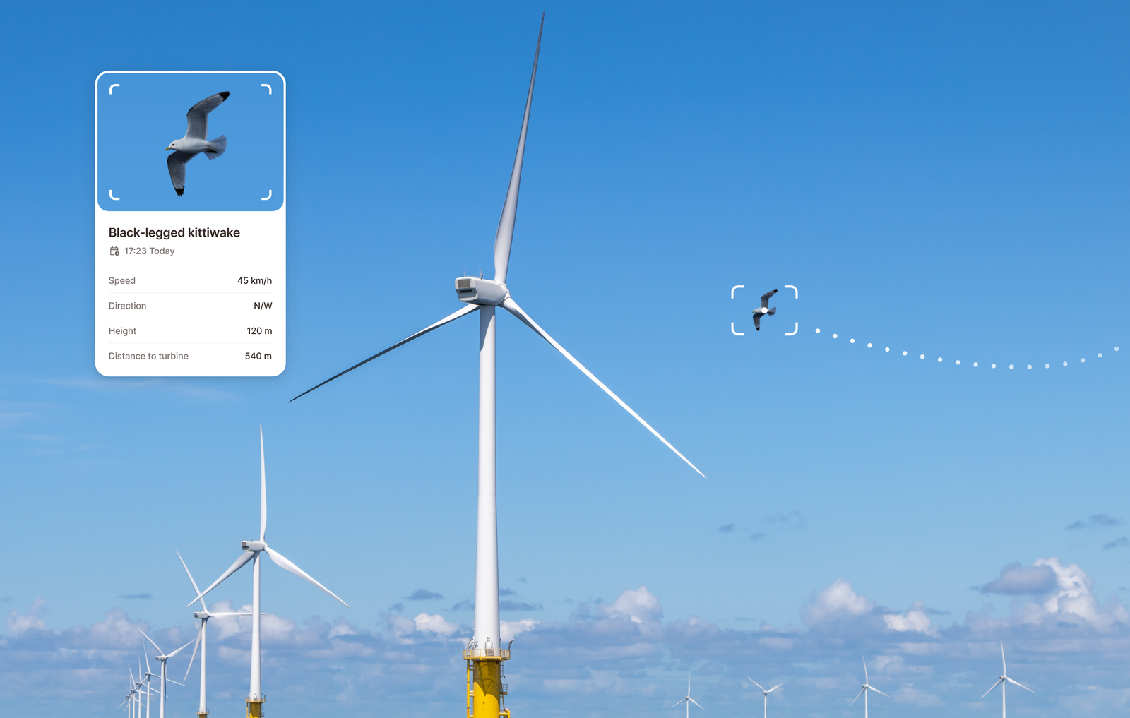 Spoor's AI-powered bird monitoring near wind turbines
