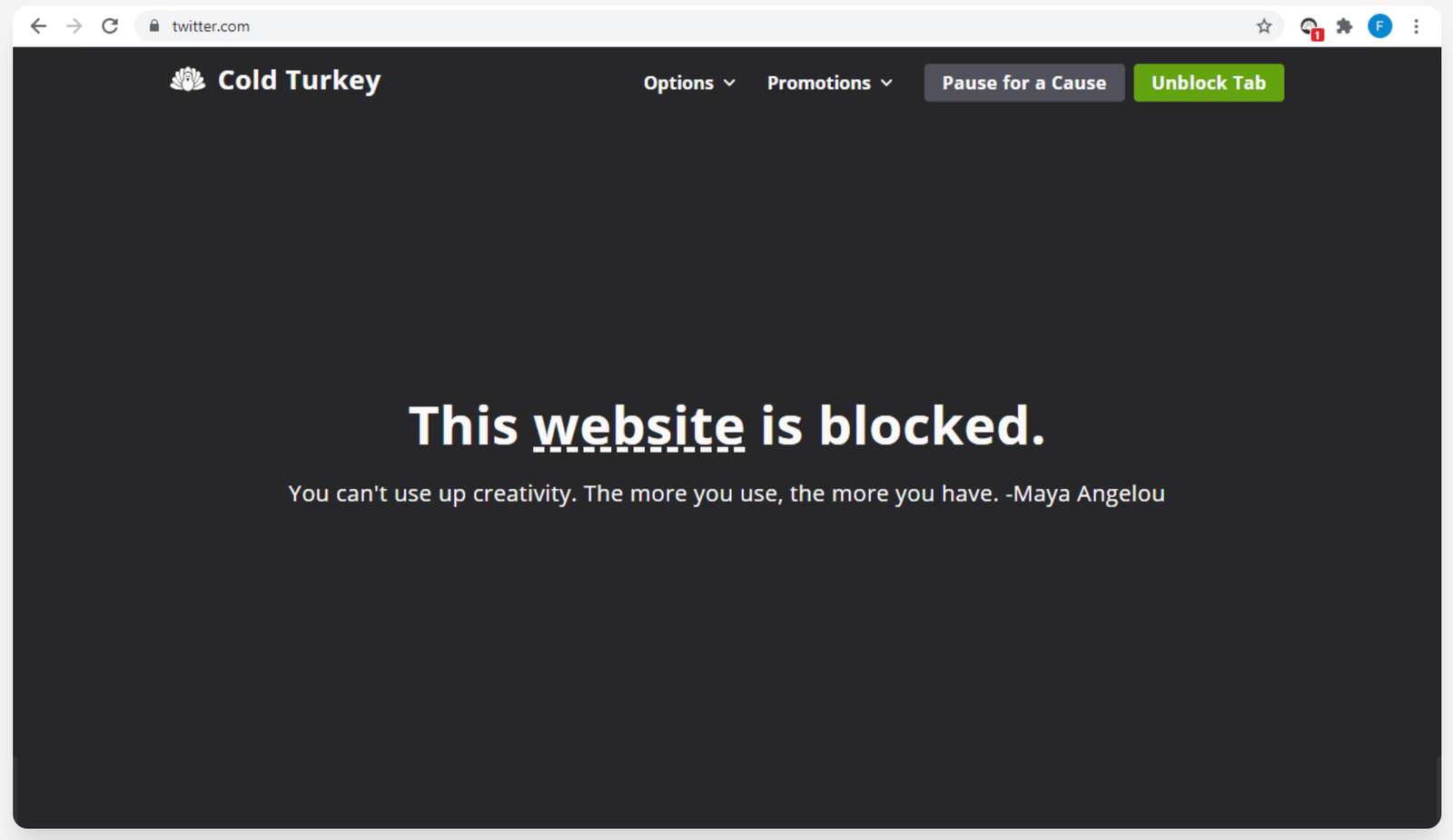 Cold Turkey app interface