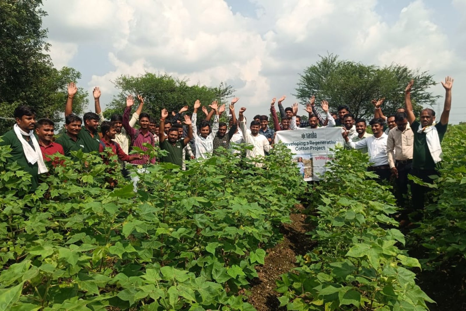 Regenerative agriculture project managed by Varaha