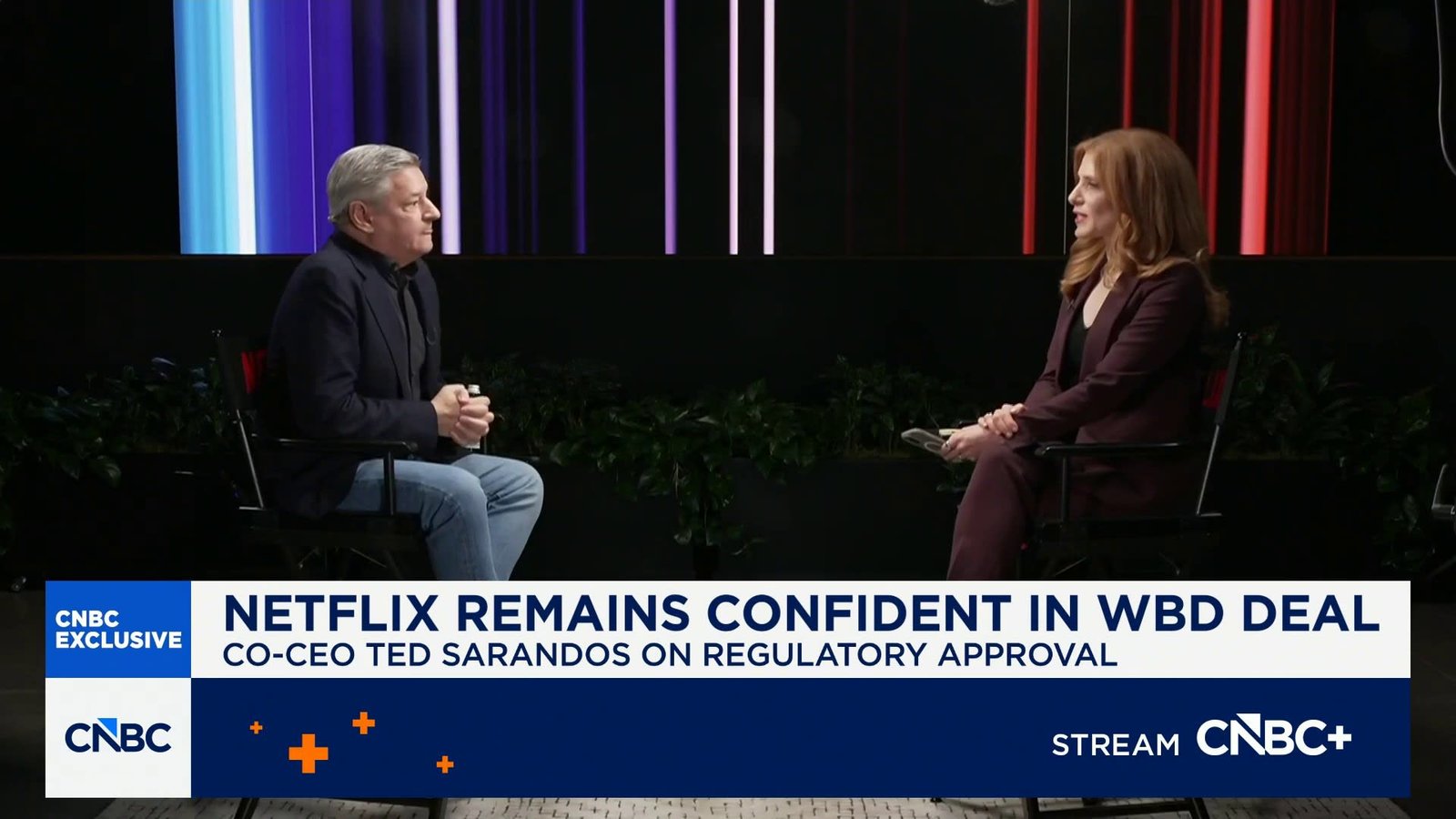 netflix co-CEO Ted Sarandos discussing government review