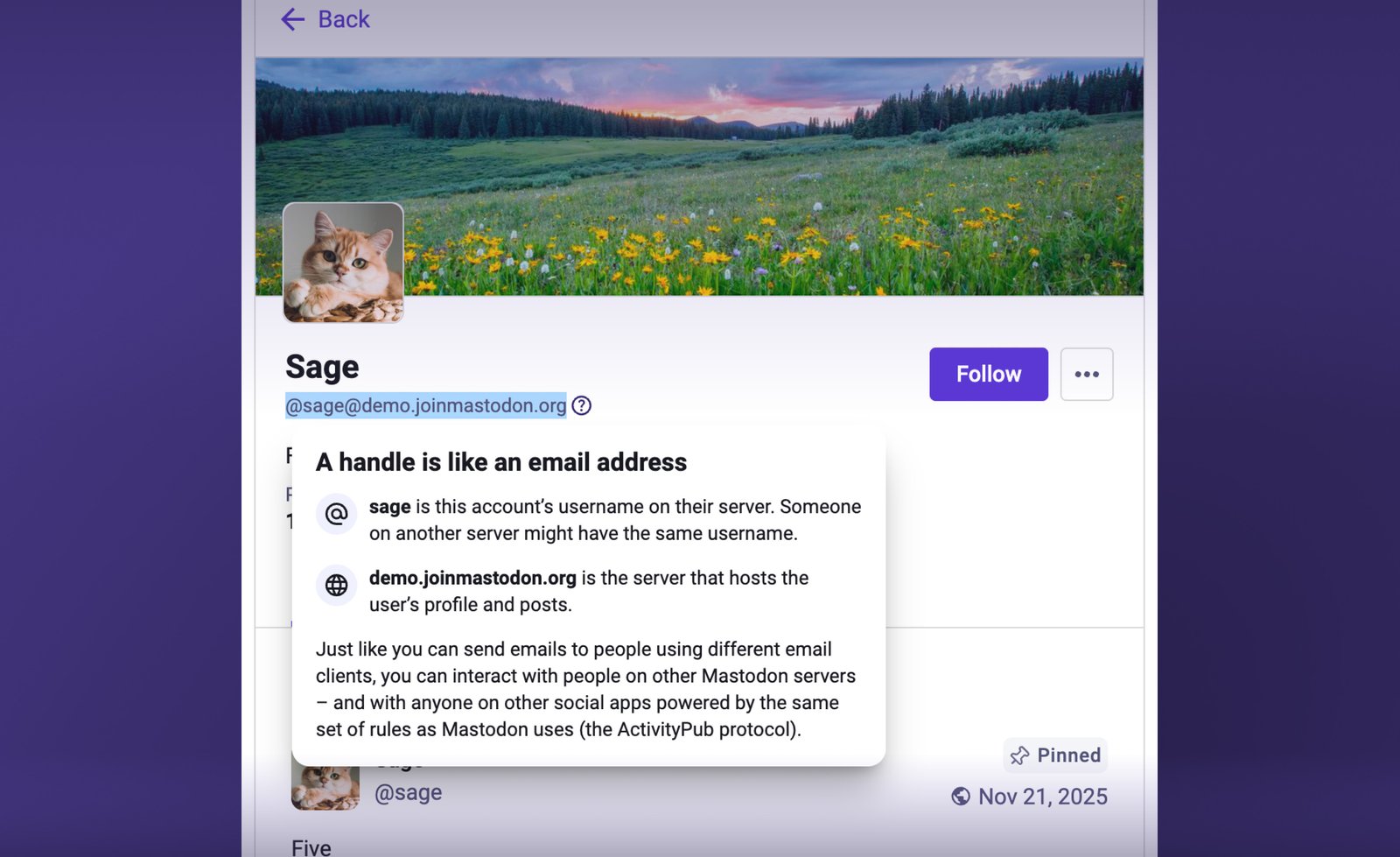 Popup explaining dual @ symbols in Mastodon handles