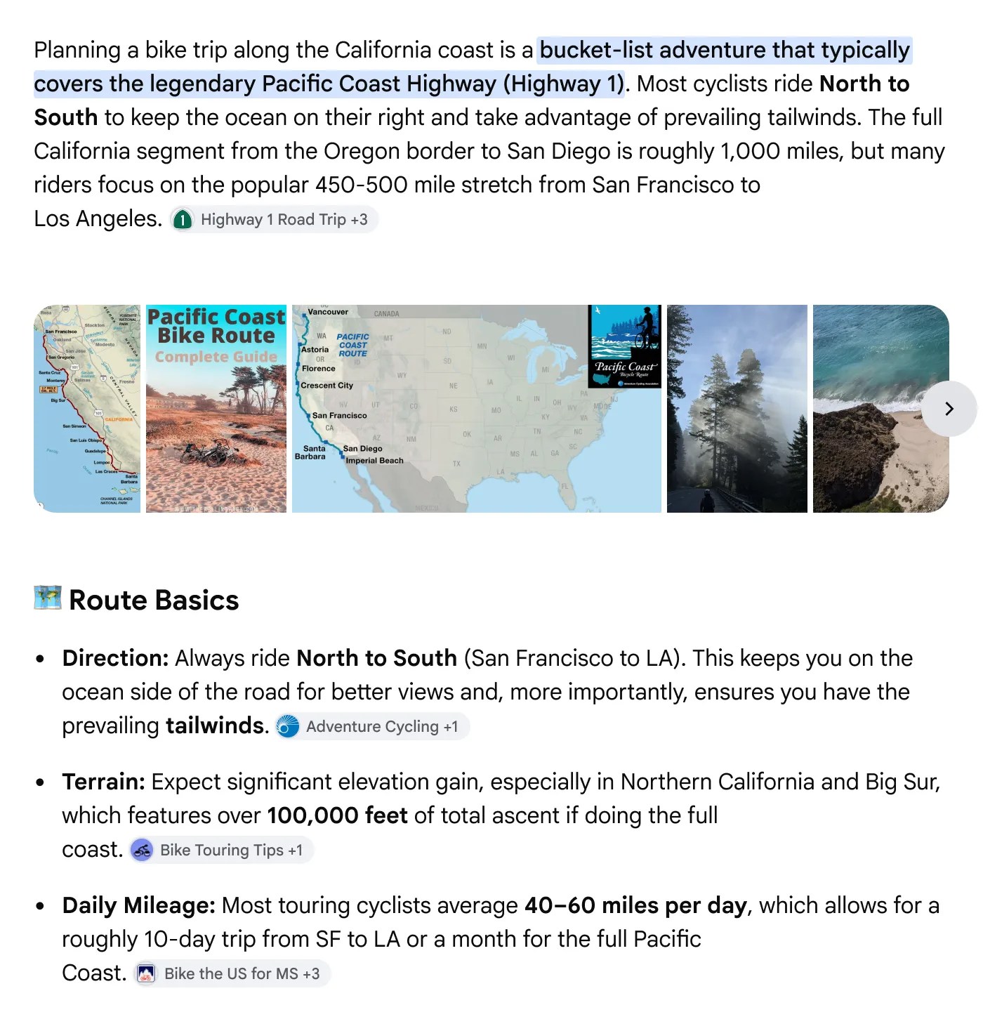 Google's updated search interface showing diverse source previews