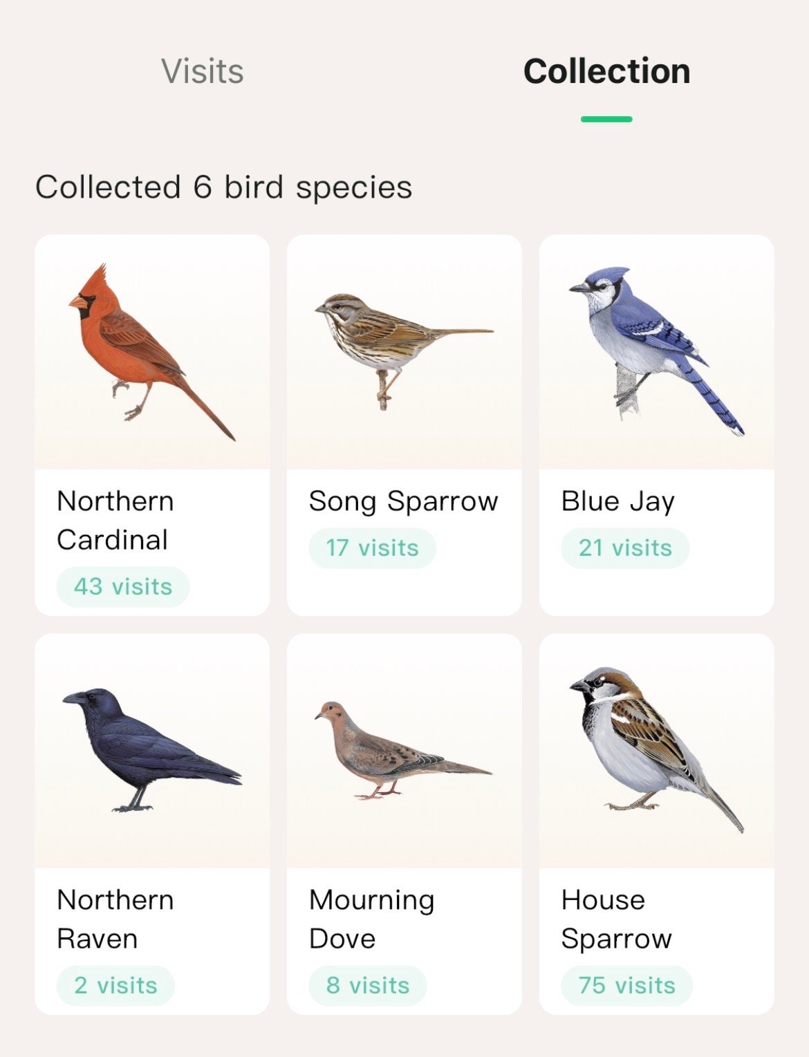 Screenshot showing detailed bird data in Kiwibit app